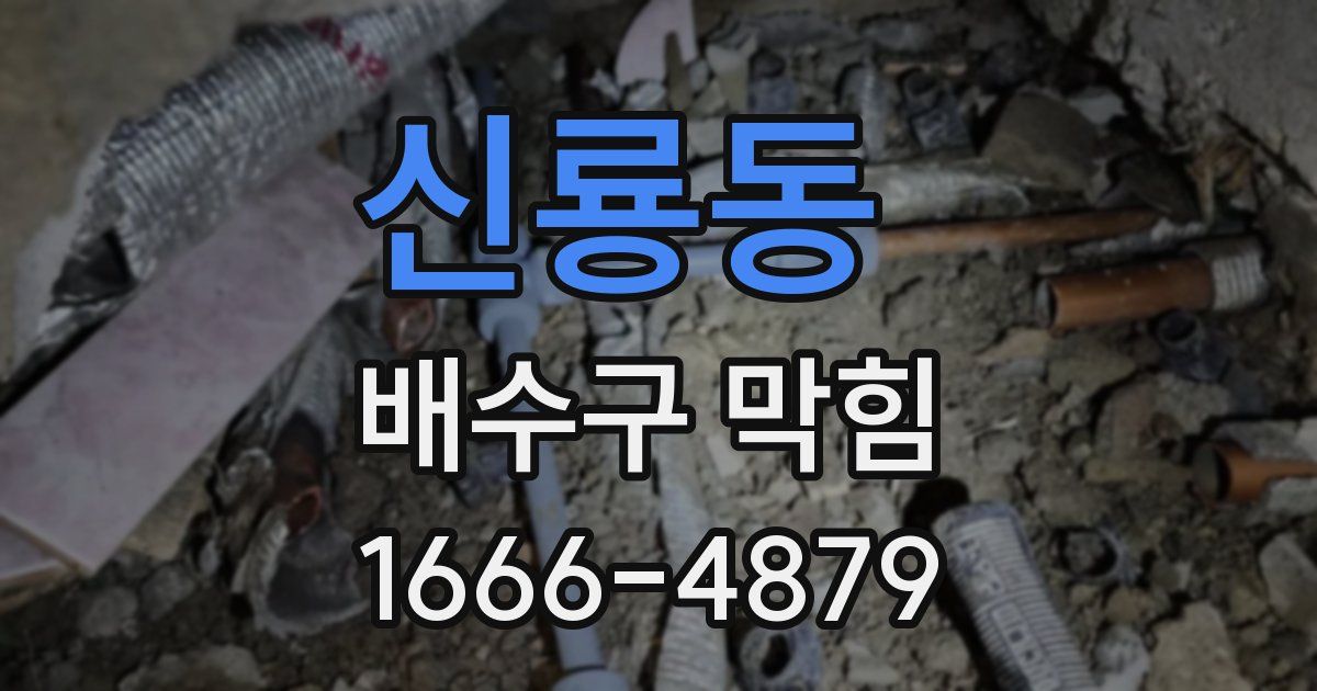 신룡동 배수구 막힘