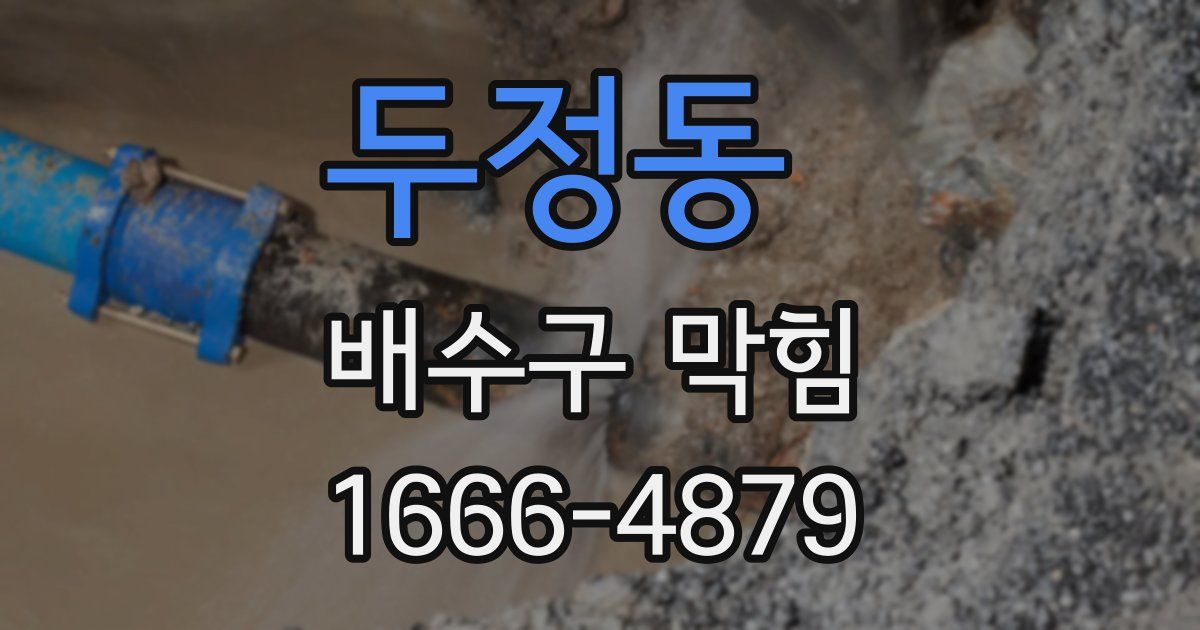 두정동 배수구 막힘