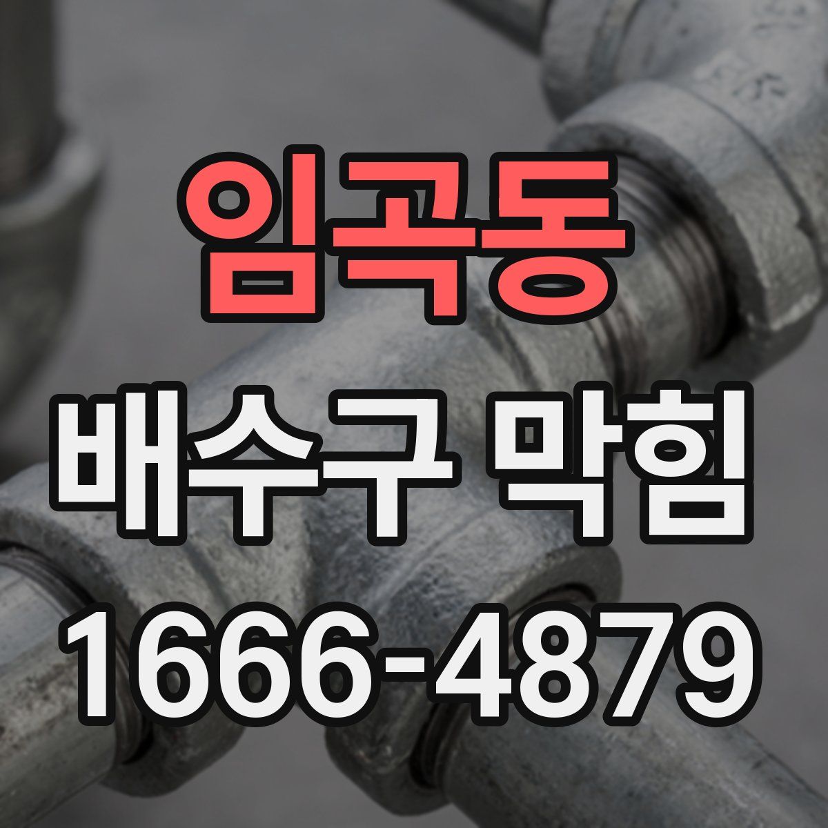임곡동 배수구 막힘