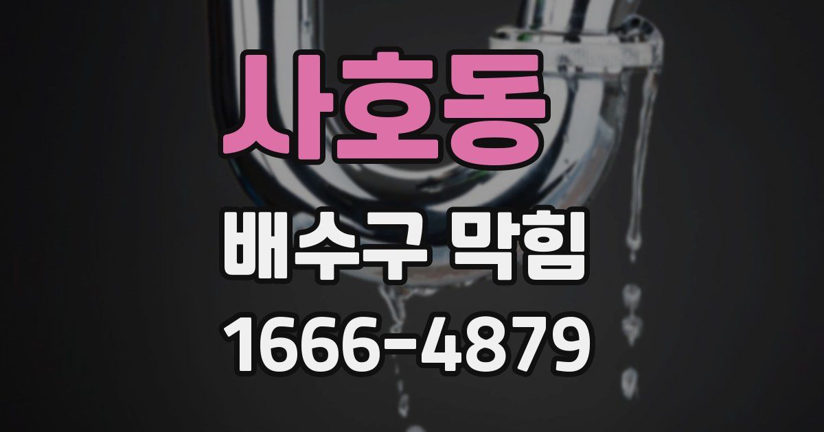 사호동 배수구 막힘