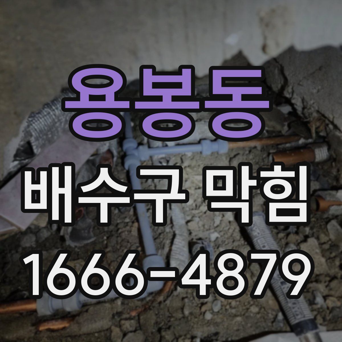 용봉동 배수구 막힘