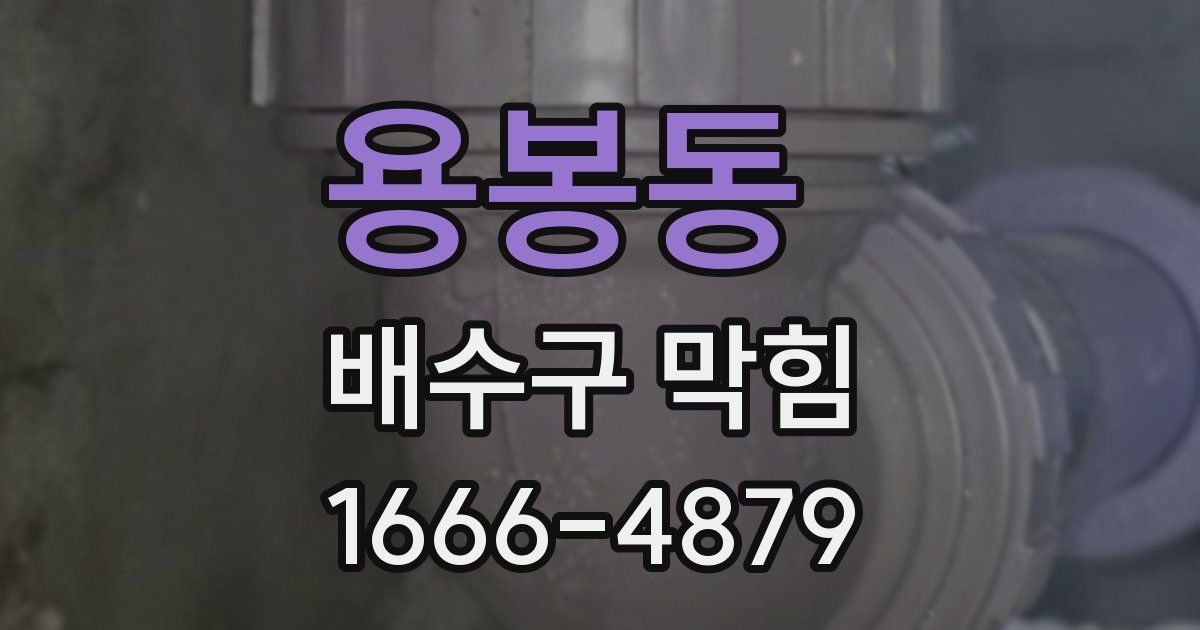 용봉동 배수구 막힘