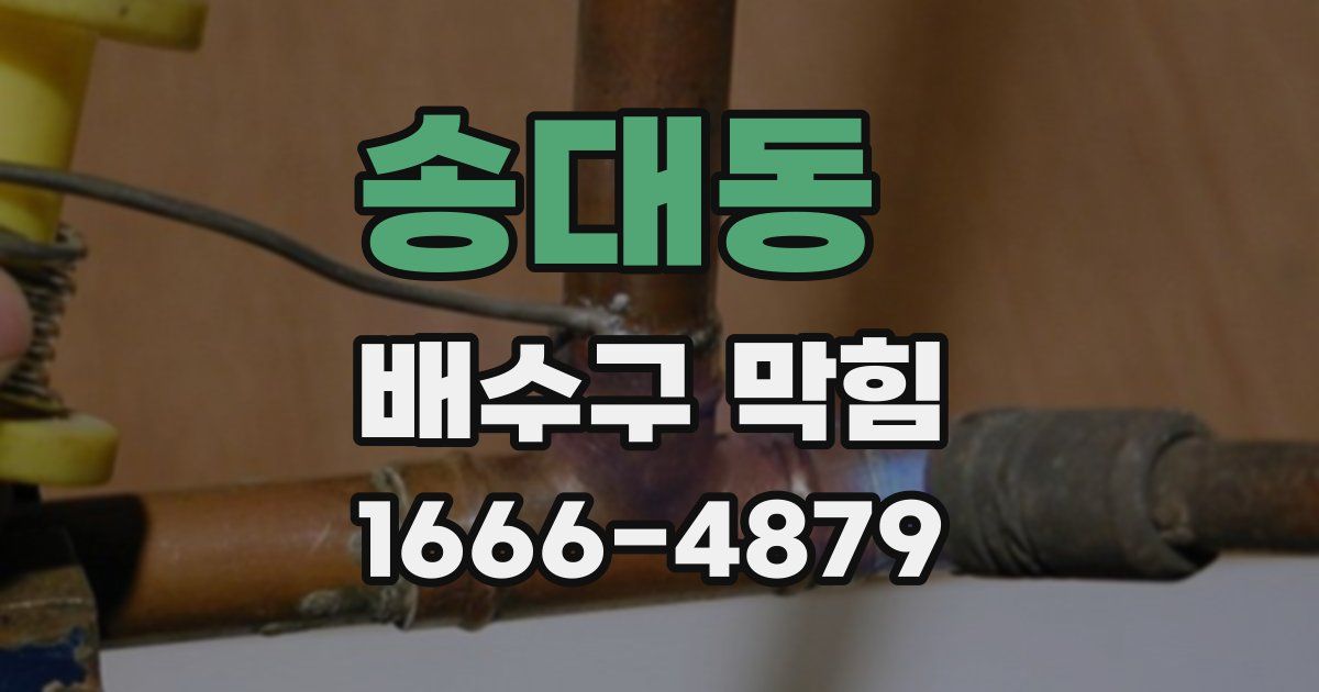 송대동 배수구 막힘