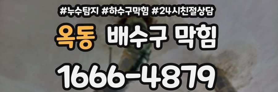 옥동 배수구 막힘