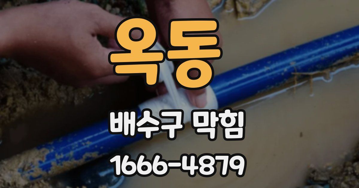 옥동 배수구 막힘