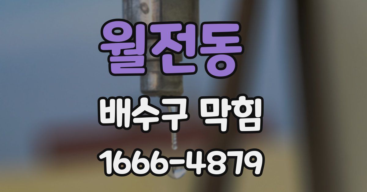 월전동 배수구 막힘