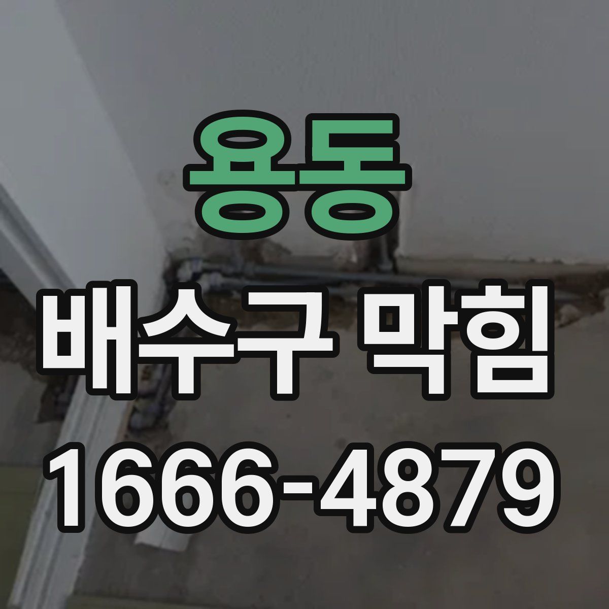 용동 배수구 막힘
