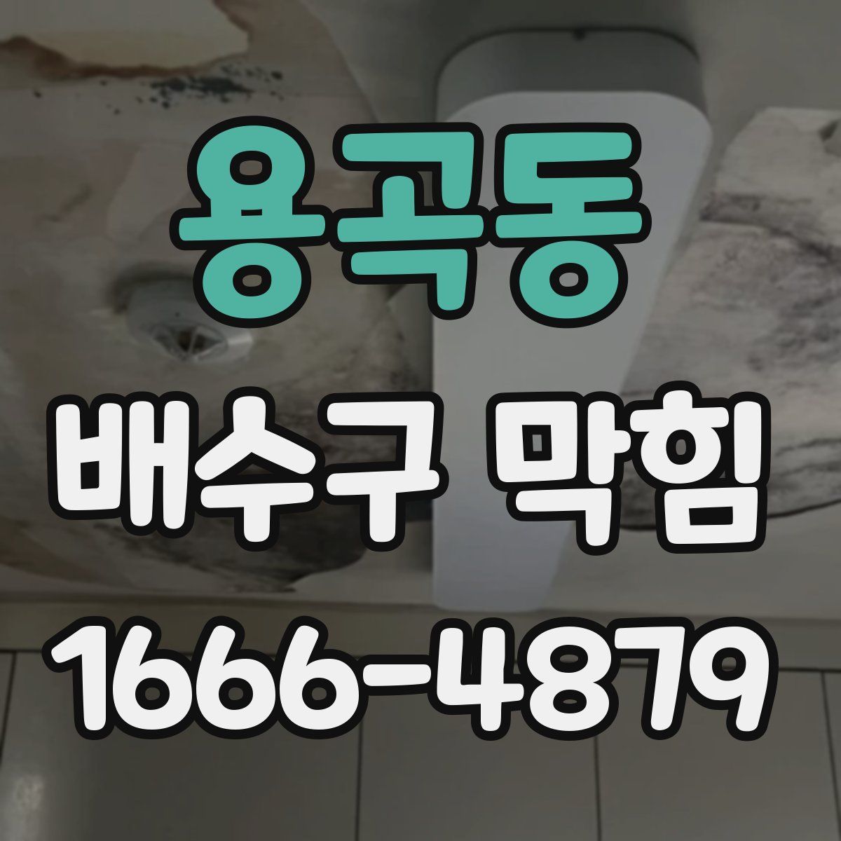 용곡동 배수구 막힘