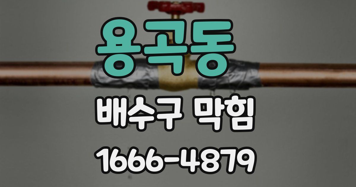 용곡동 배수구 막힘