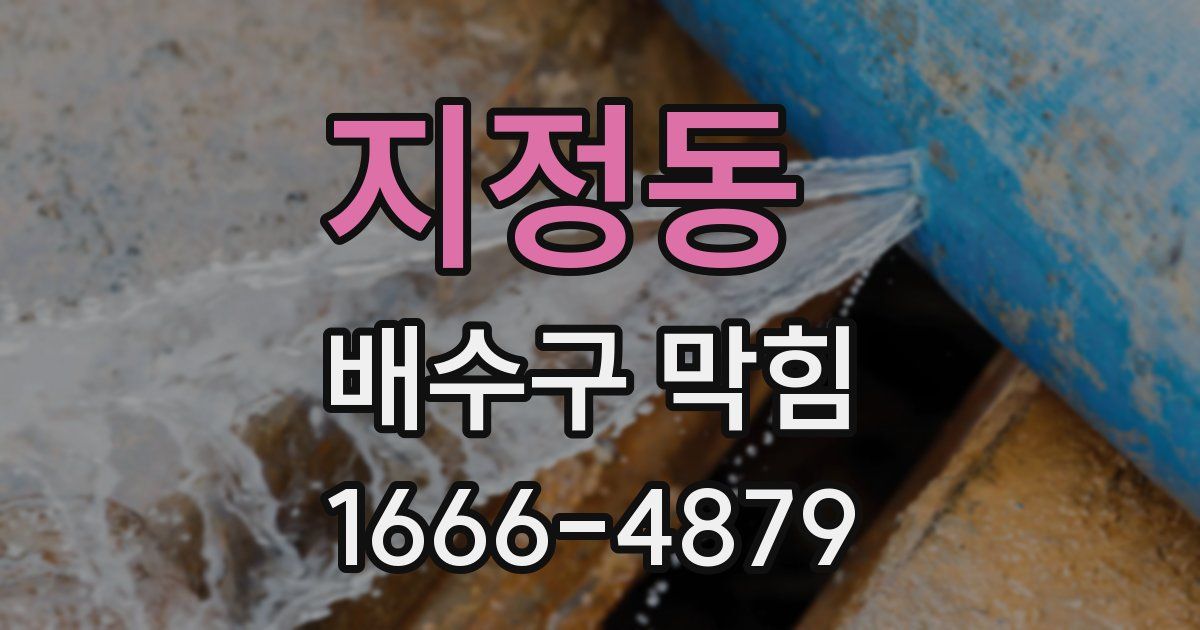 지정동 배수구 막힘