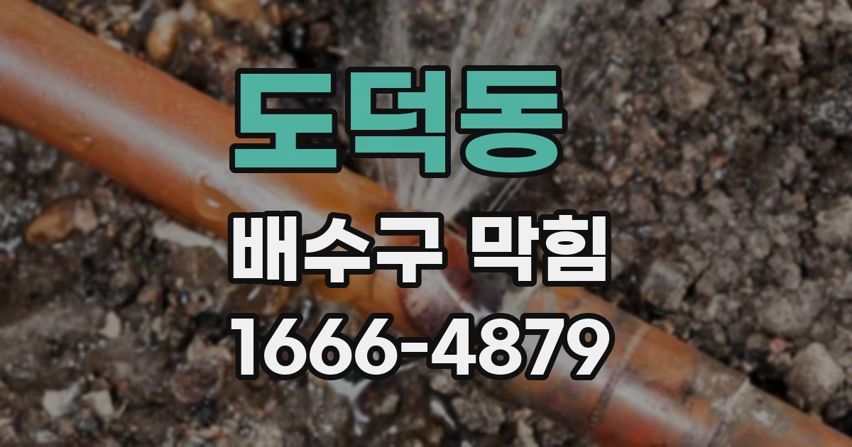 도덕동 배수구 막힘