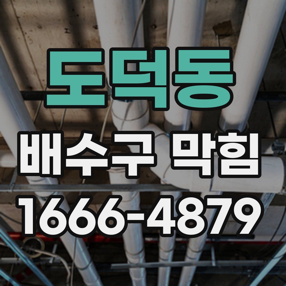 도덕동 배수구 막힘