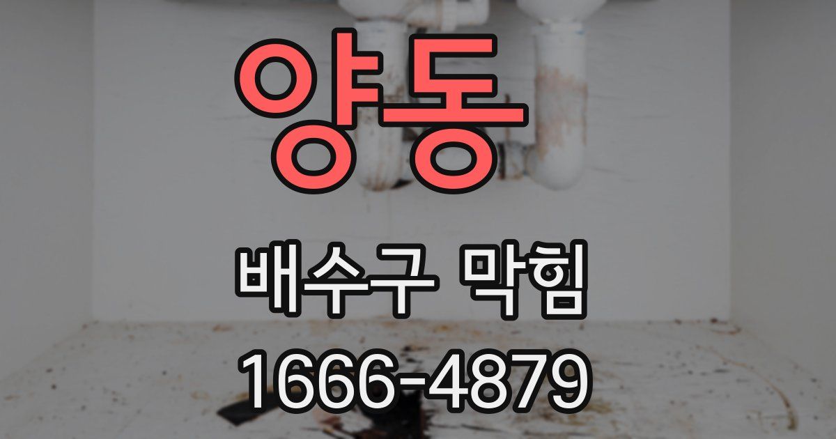 양동 배수구 막힘