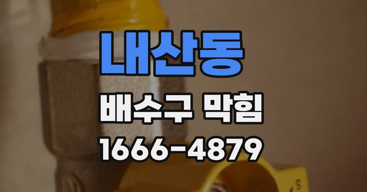 내산동 배수구 막힘