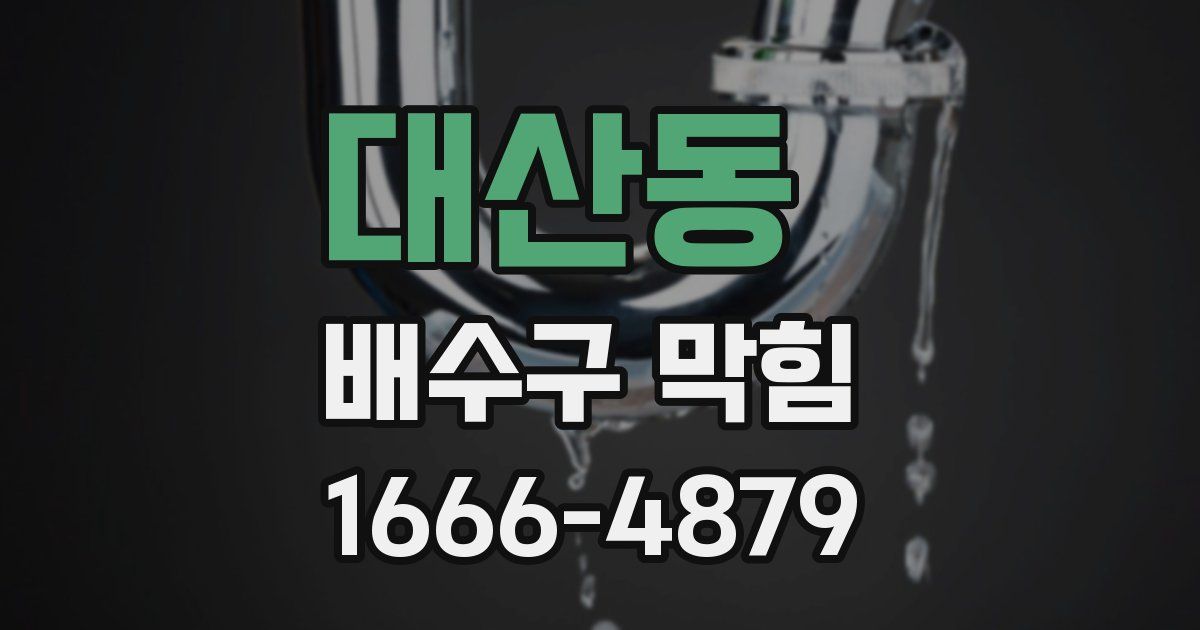 대산동 배수구 막힘