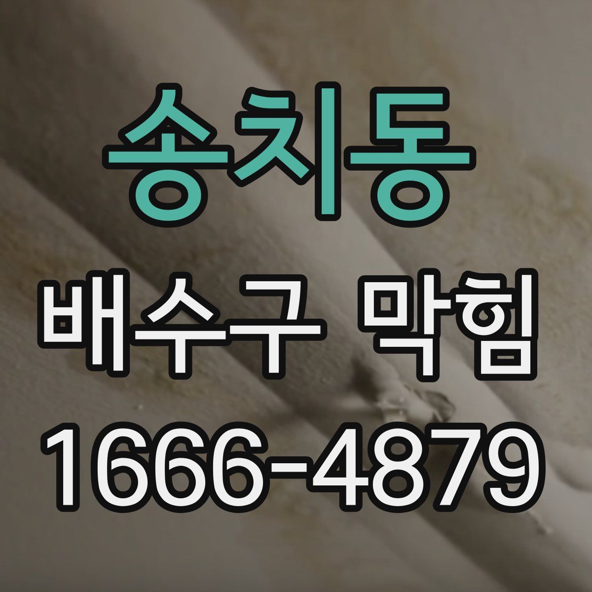 송치동 배수구 막힘