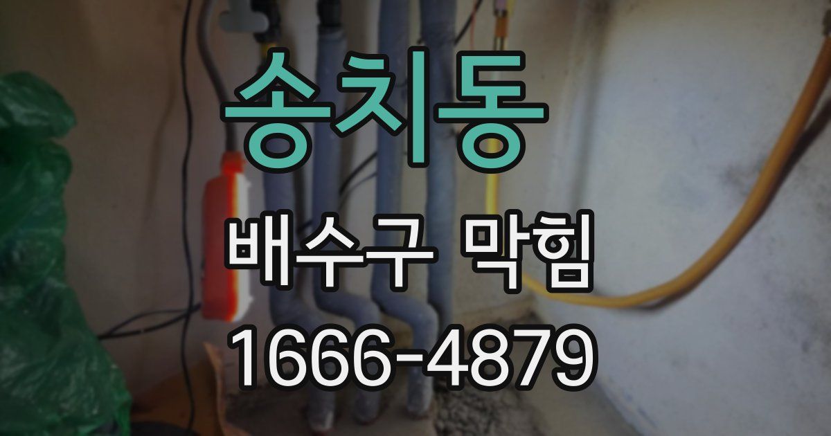 송치동 배수구 막힘