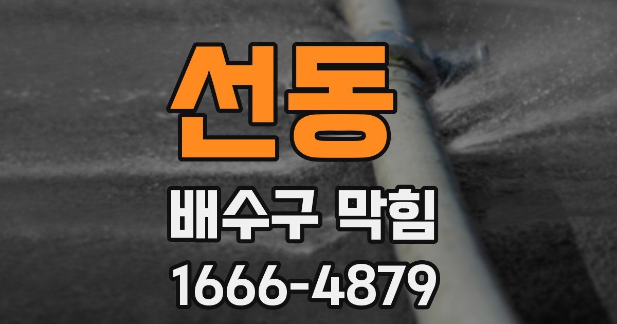 선동 배수구 막힘