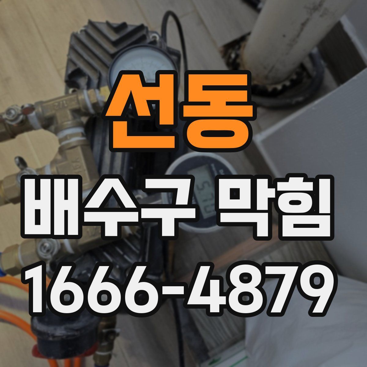 선동 배수구 막힘