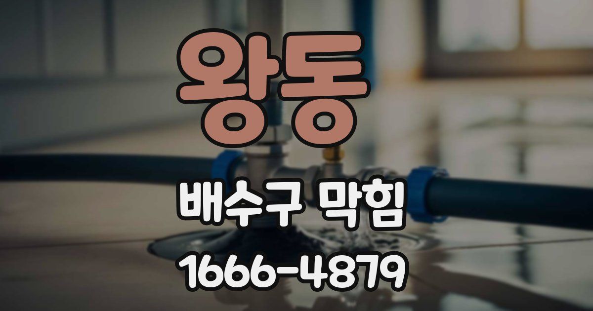 왕동 배수구 막힘