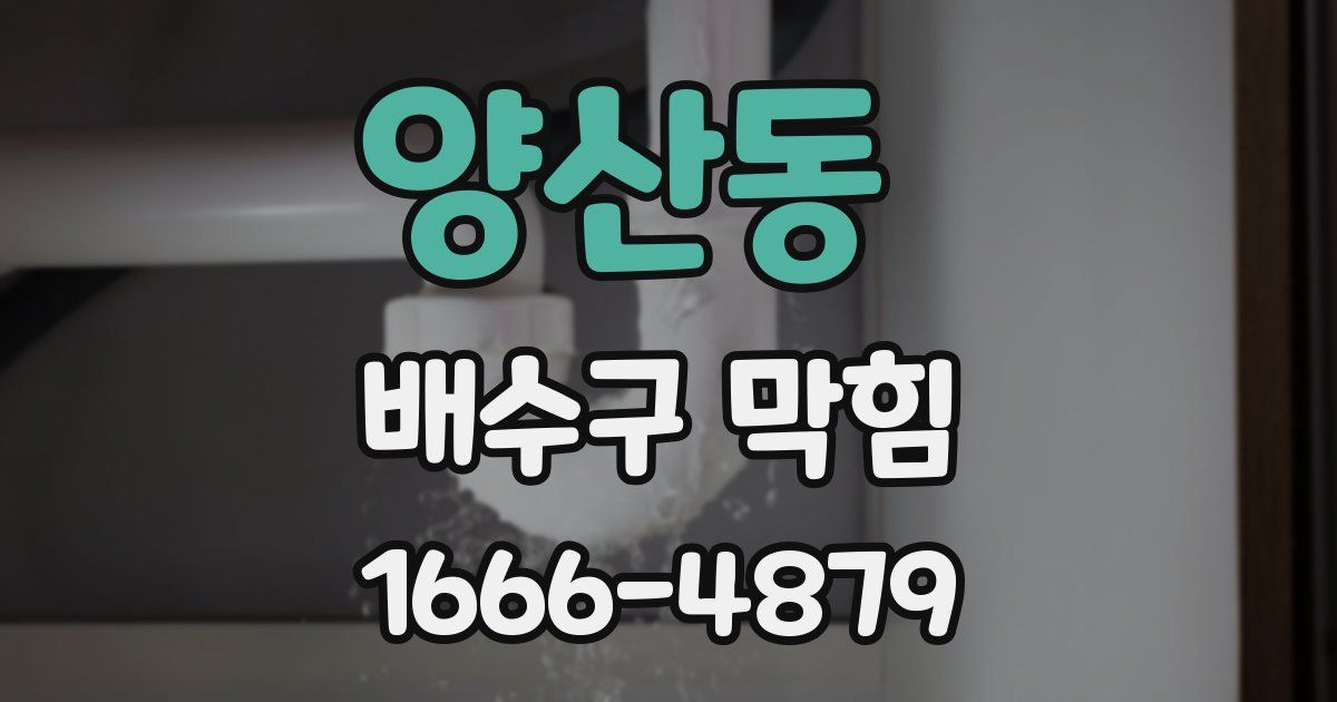 양산동 배수구 막힘