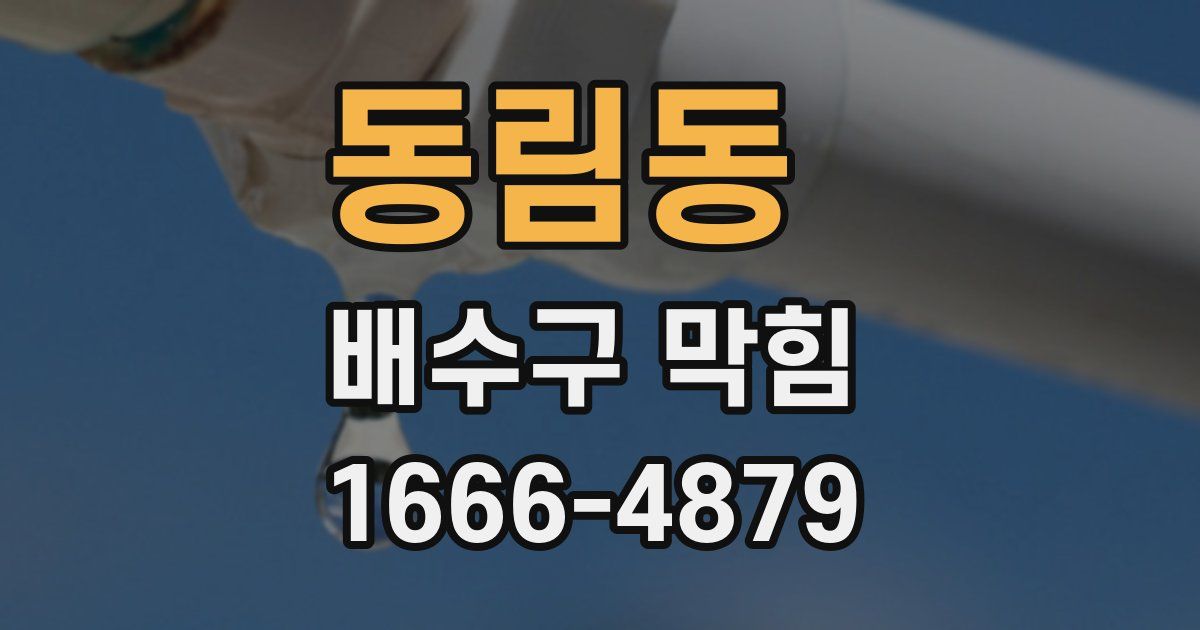 동림동 배수구 막힘