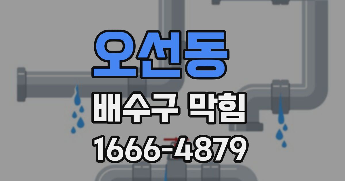 오선동 배수구 막힘