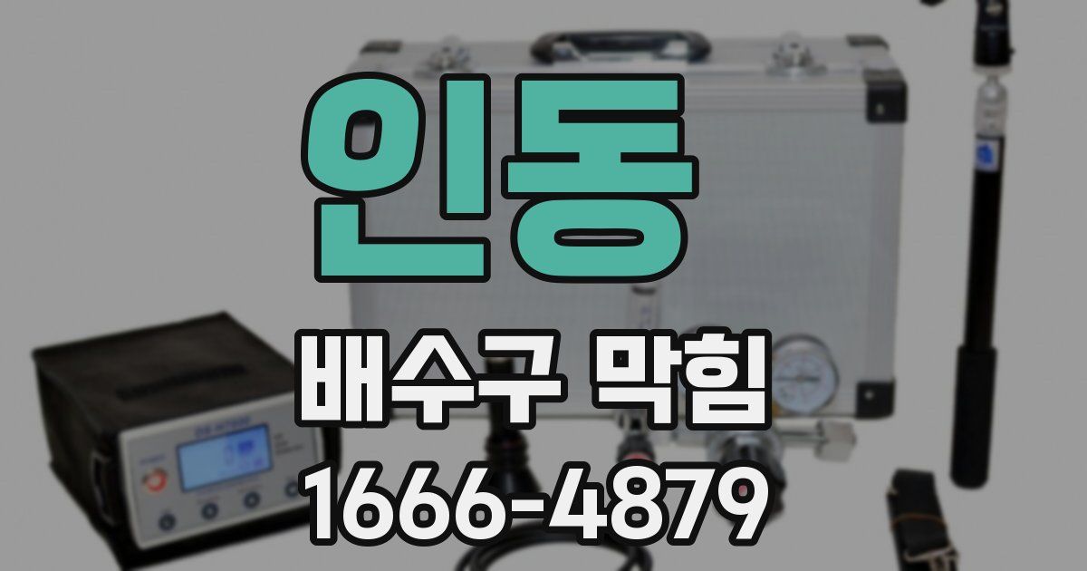 인동 배수구 막힘