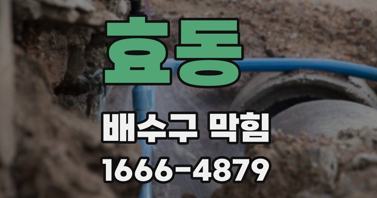효동 배수구 막힘
