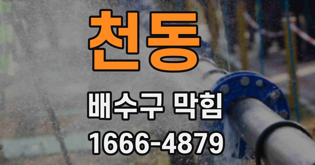 천동 배수구 막힘