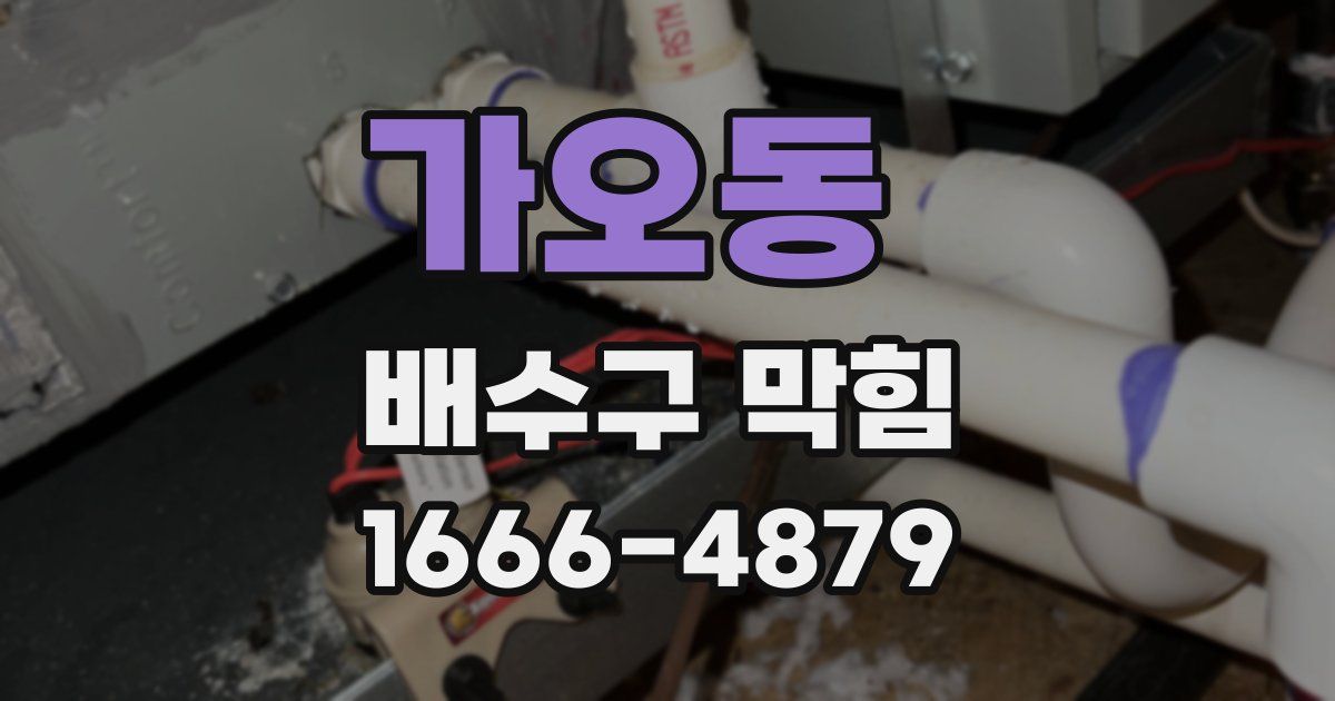 가오동 배수구 막힘