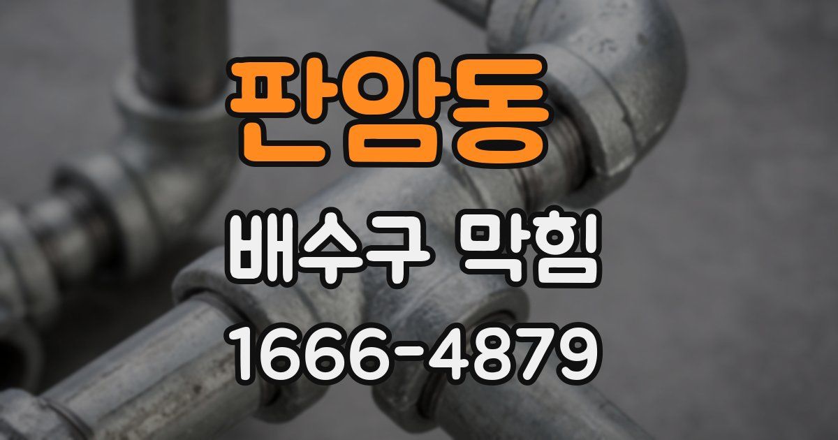 판암동 배수구 막힘