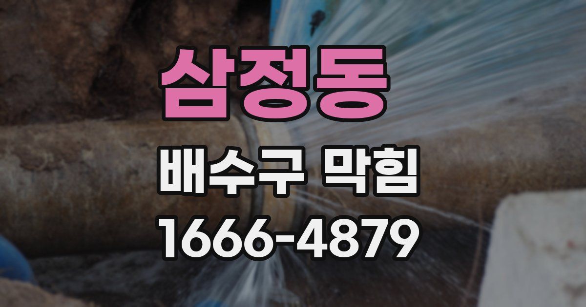 삼정동 배수구 막힘
