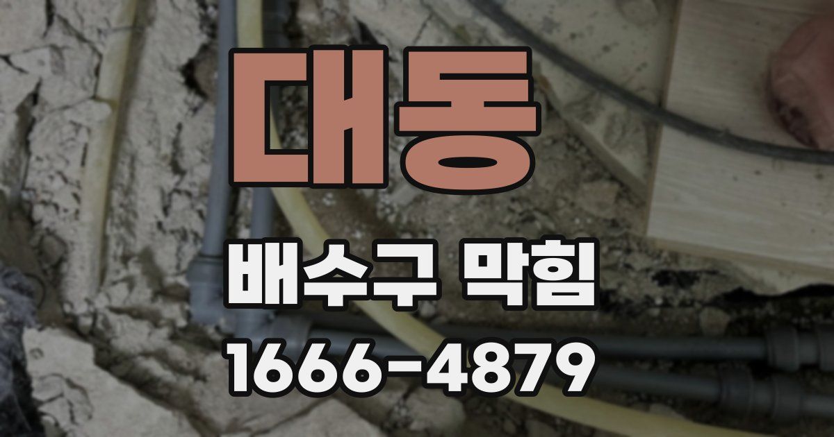 대동 배수구 막힘