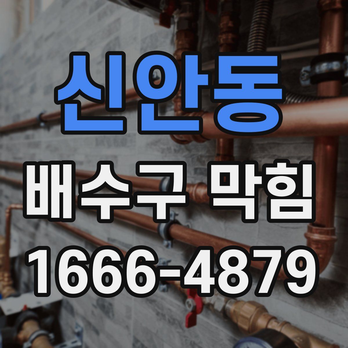 신안동 배수구 막힘