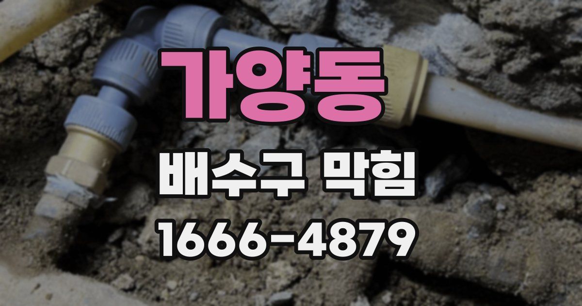 가양동 배수구 막힘