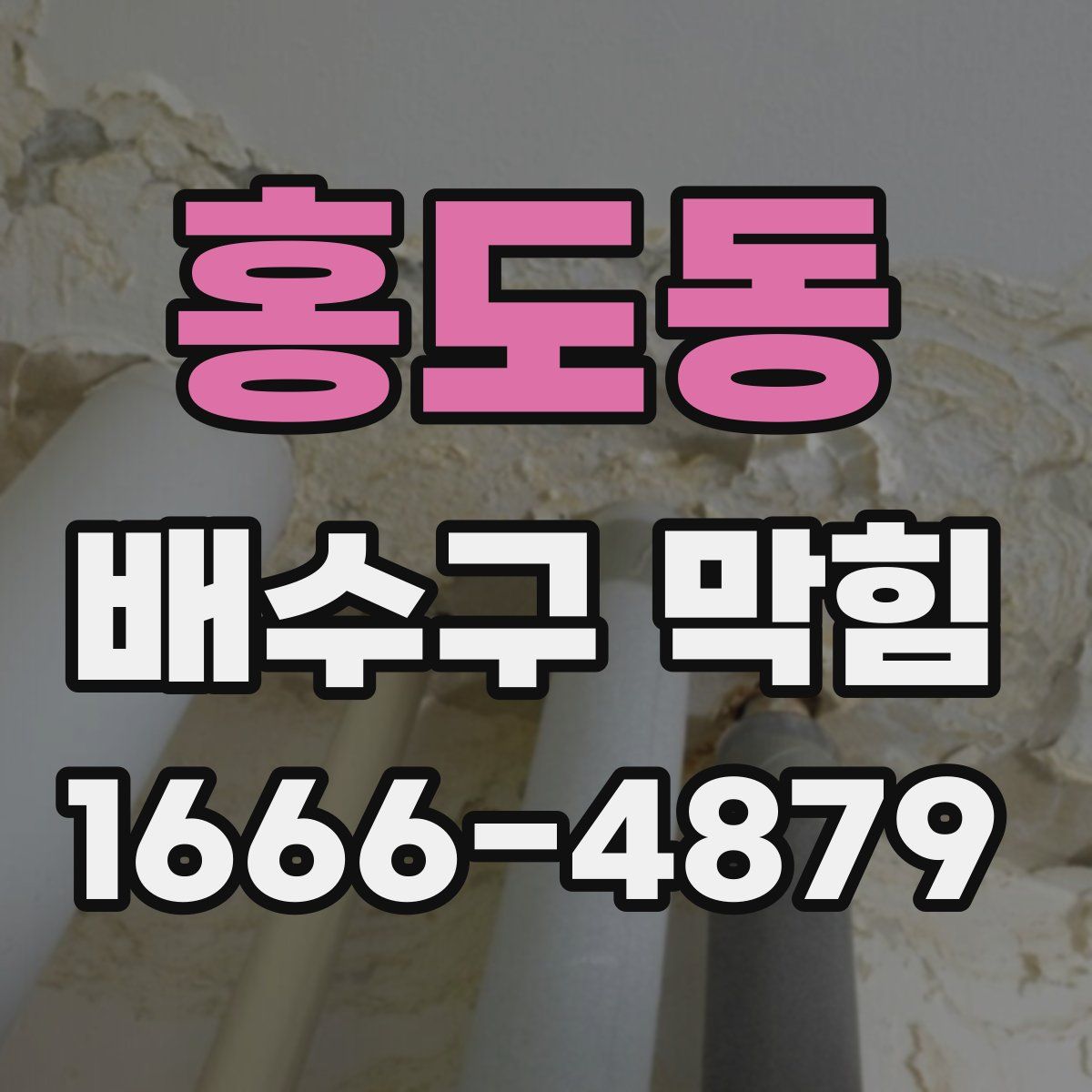 홍도동 배수구 막힘