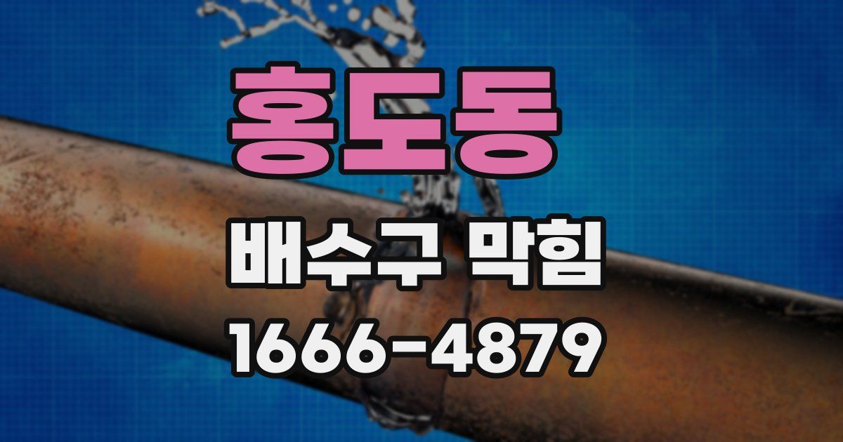 홍도동 배수구 막힘
