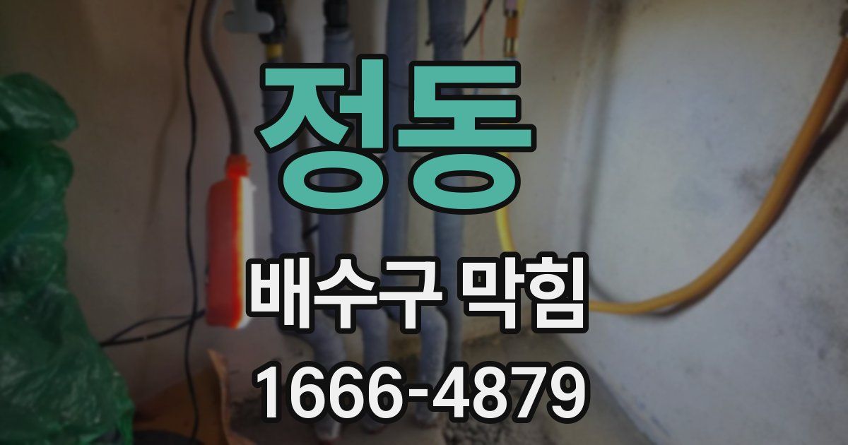 정동 배수구 막힘