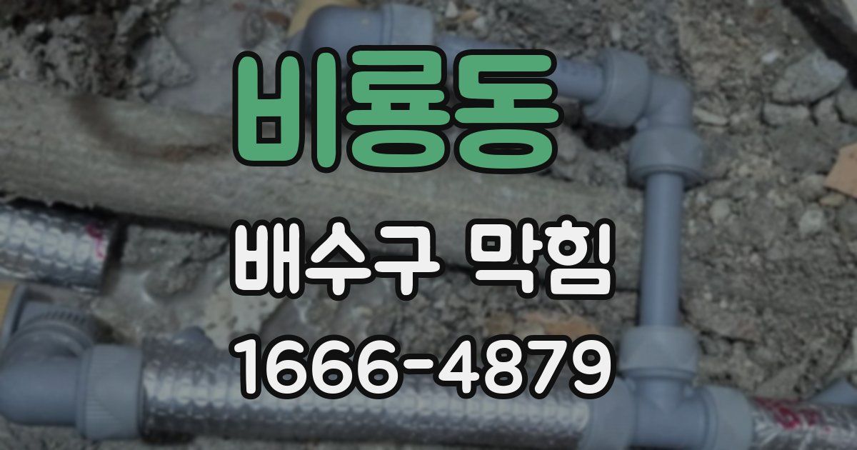비룡동 배수구 막힘