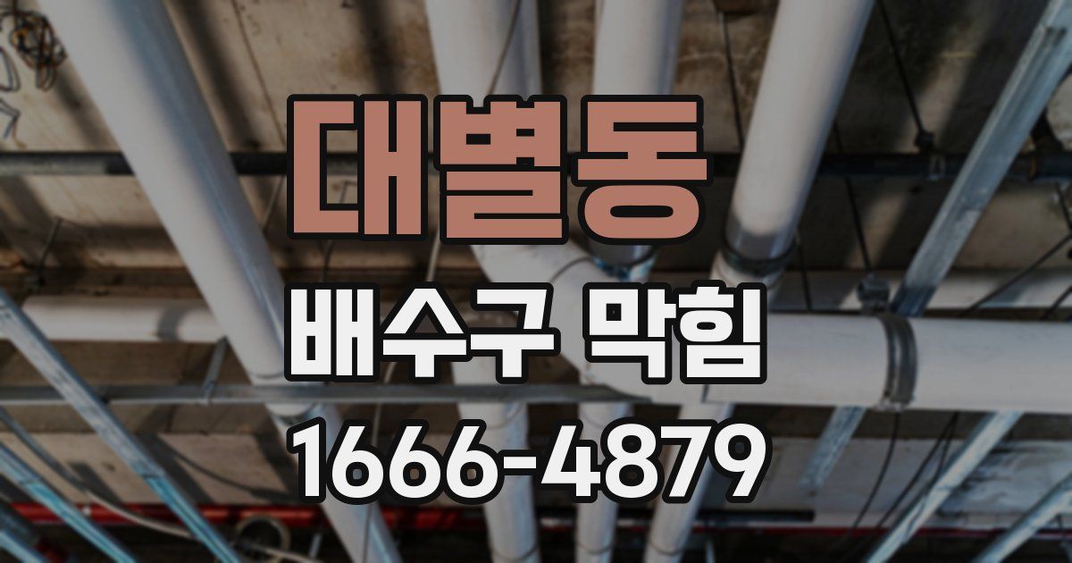 대별동 배수구 막힘