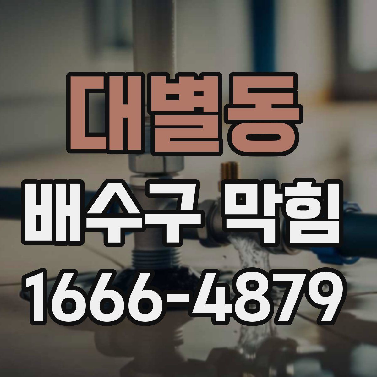 대별동 배수구 막힘