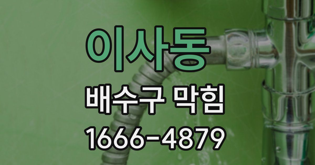 이사동 배수구 막힘