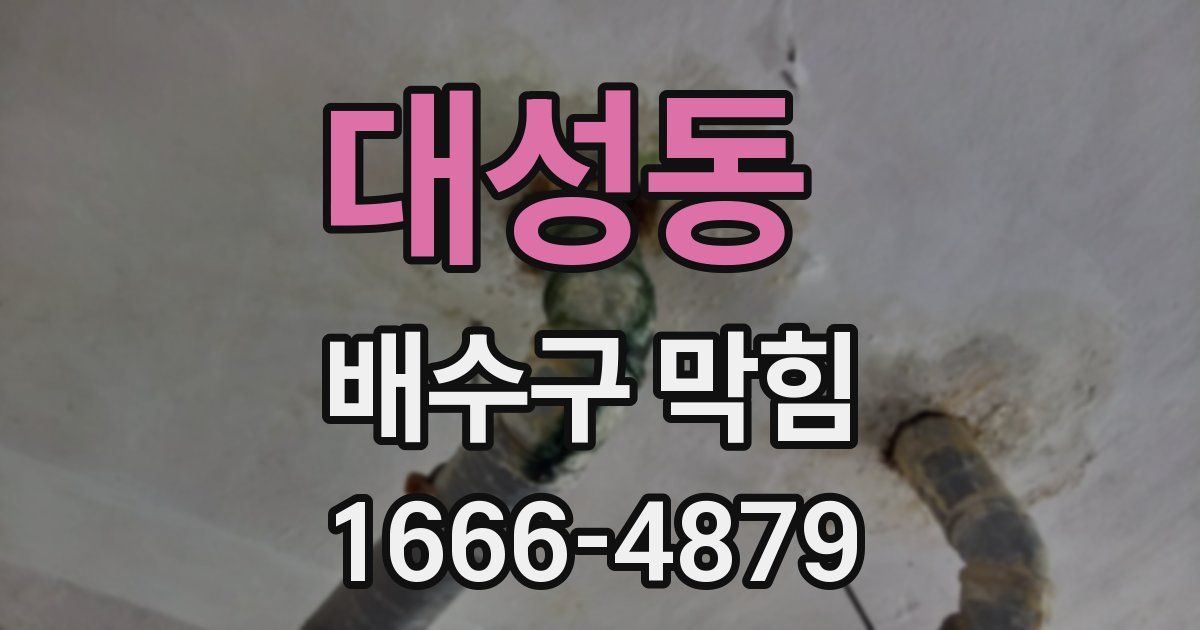 대성동 배수구 막힘