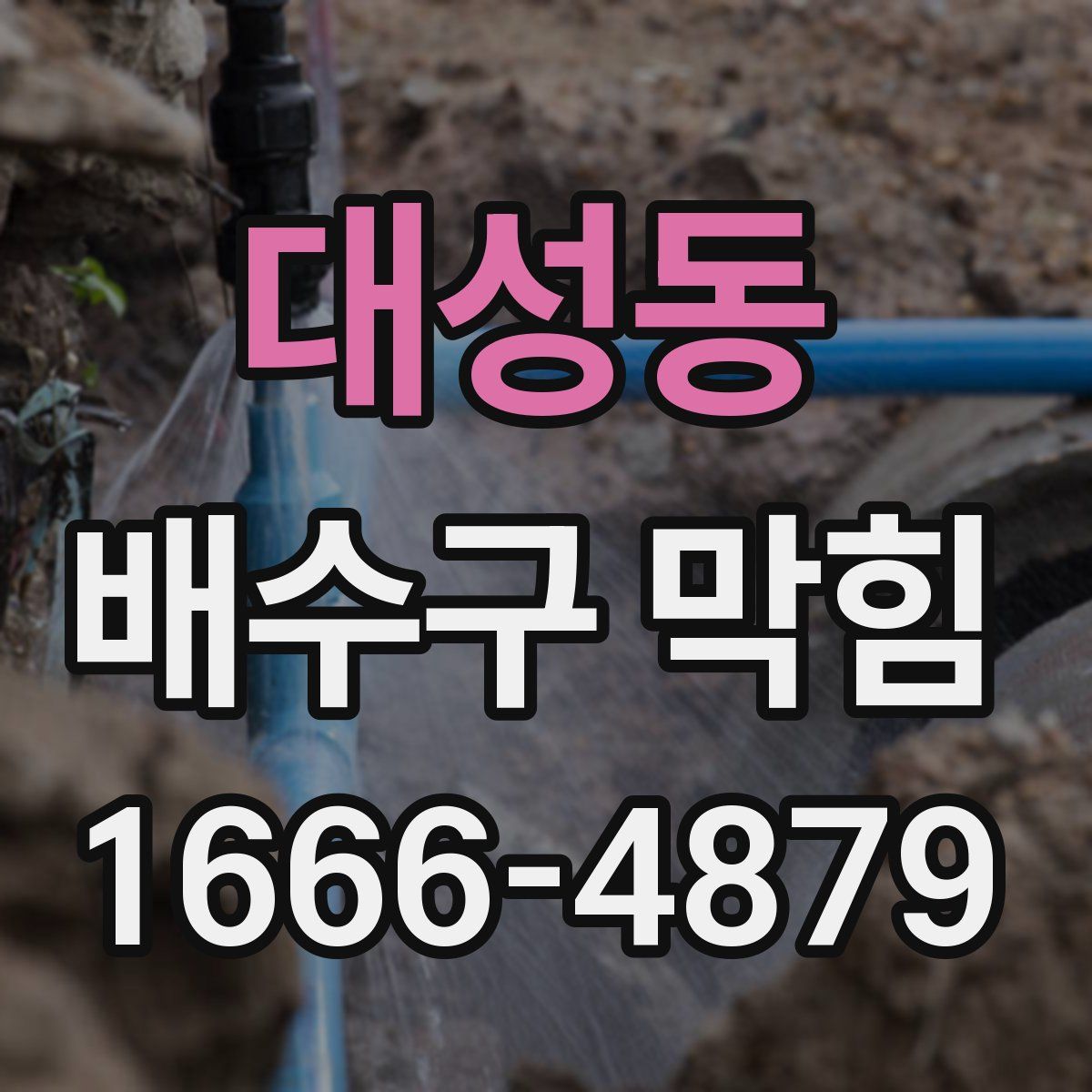 대성동 배수구 막힘