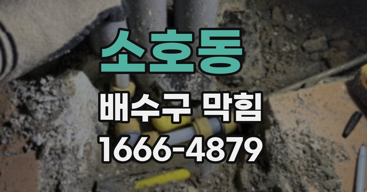 소호동 배수구 막힘