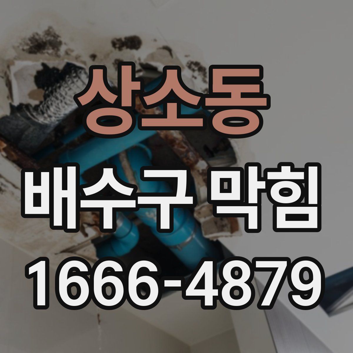 상소동 배수구 막힘