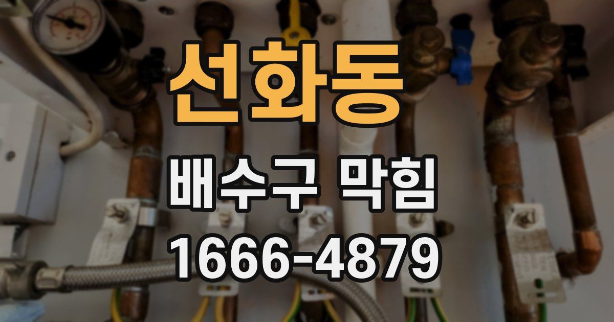 선화동 배수구 막힘