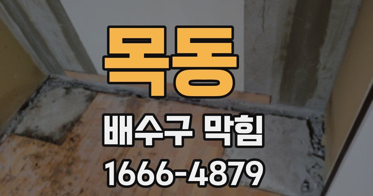 목동 배수구 막힘