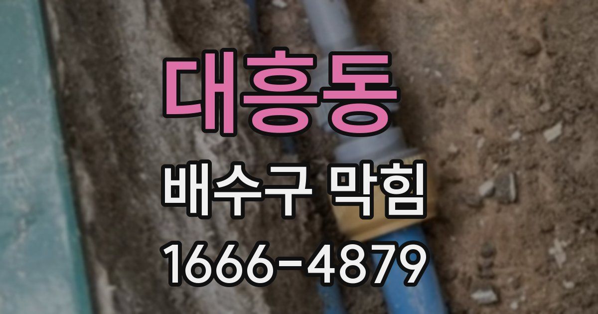 대흥동 배수구 막힘